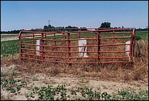 2002-13.jpg